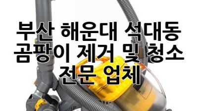 부산 해운대 석대동 곰팡이 제거 및 청소 전문 업체