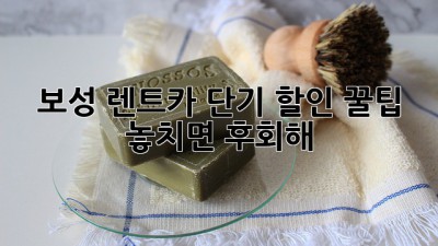 보성 렌트카 단기 할인 꿀팁! 놓치면 후회해 😉